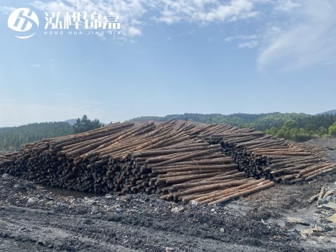 河道打樁為什么選擇松木樁來處理軟地基？-松木樁施工使用范圍