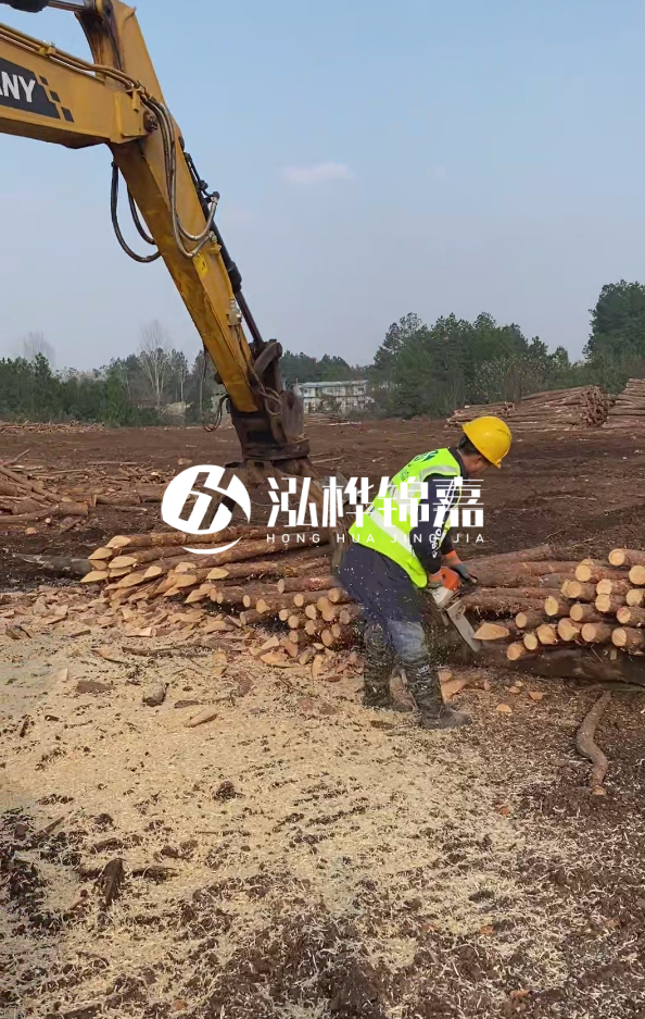 滁州挖機(jī)打木樁專業(yè)施工-河道打木樁與河岸加固關(guān)系？