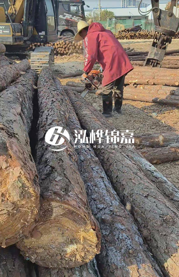 長(zhǎng)沙打樁木批發(fā)廠家在哪里？聯(lián)系方式是什么？