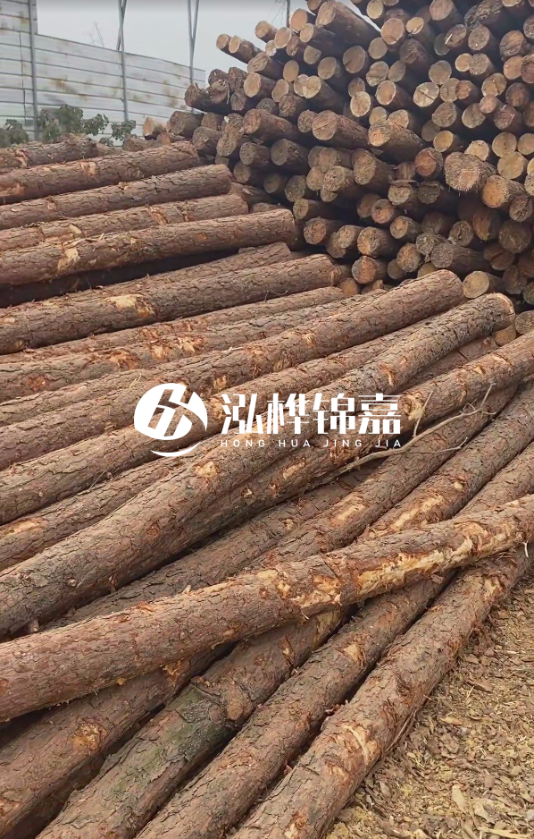 山西河道木樁護(hù)岸價(jià)格多少錢(qián)一米-每米河道打樁要花多少錢(qián)？