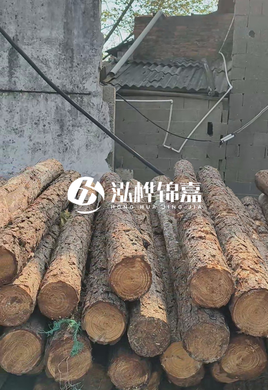 1.5米至2米長(zhǎng)松木樁價(jià)格表-10-12公分大概多少錢(qián)一根？