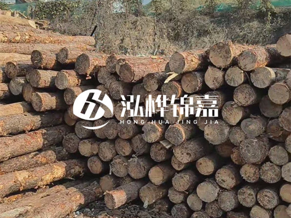 落葉松木材的主要產(chǎn)地在哪里？為什么比其他松木更耐腐蝕？