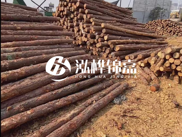 河道木樁施工遇到淤泥怎么辦？打多深才能防沖刷？