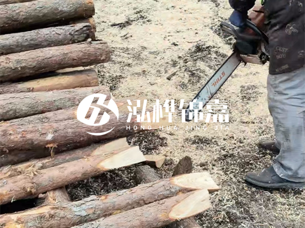 杉木樁批發(fā)廠家哪家好？產(chǎn)地直供渠道推薦！