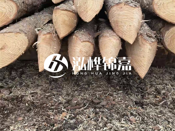 打樁木樁與鋼樁相比有哪些優(yōu)缺點(diǎn)？如何進(jìn)行后期維護(hù)？