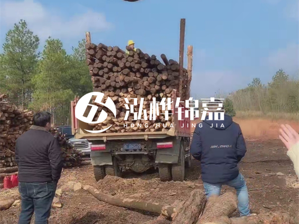 松木樁價格是按米算還是按根算？6米松木樁批發(fā)價每根多少錢？