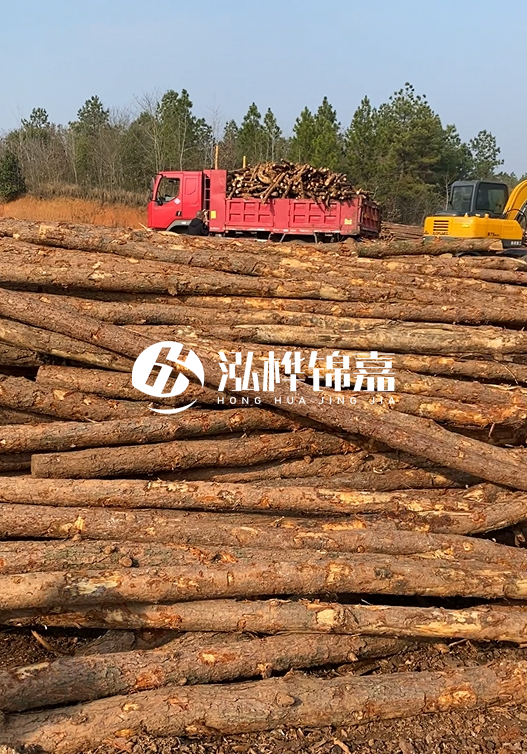 8米小頭11-13CM的松木樁價格是多少？打樁施工怎么算？