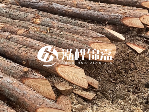 松木樁削尖的費用怎么算？按根收費還是包含在單價里？