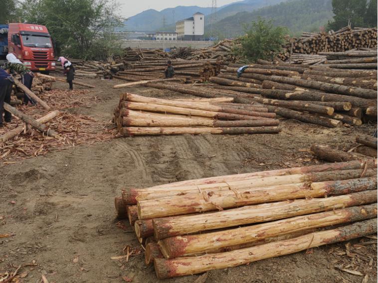 康佳電視機(jī)怎么樣,康佳電視怎么操作投屏